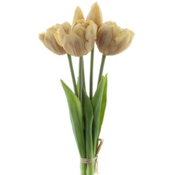 Deko Tulpenbund LANEA, champagner, 30cm, Ø15cm