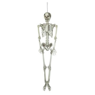 Halloween Dekoration Skelett LAMBERT, hängend, 150cm Halloween Dekoration Skelett LAMBERT, hängend, 150cm