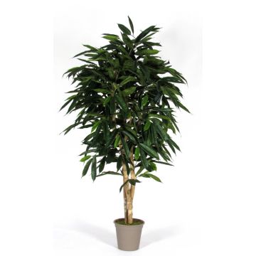 Künstlicher Longifolia MARIANKA, Natürliche Stämme, grün, 175cm - Made in Italy Künstlicher Longifolia MARIANKA, Natürliche Stämme, grün, 175cm - Made in Italy