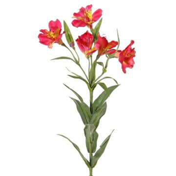 Dekozweig Inkalilie AUBERTA, pink-gelb, 75cm, Ø6cm Dekozweig Inkalilie AUBERTA, pink-gelb, 75cm, Ø6cm