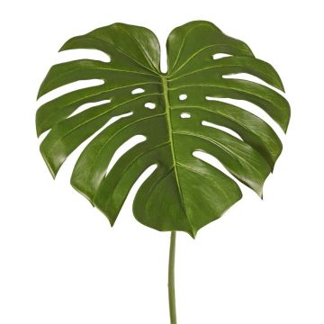 Kunstpflanzen Blatt Monstera THALWIL, 60cm