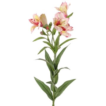 Dekozweig Inkalilie AUBERTA, rosa-pink-gelb, 75cm, Ø6cm