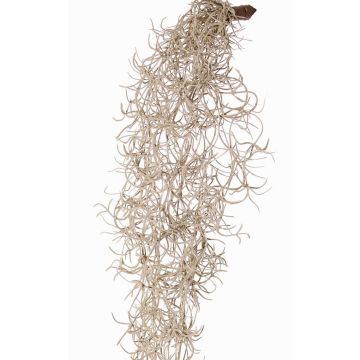 Tillandsia Usneoides künstlich LIVADI auf Steckstab, grau, 115cm