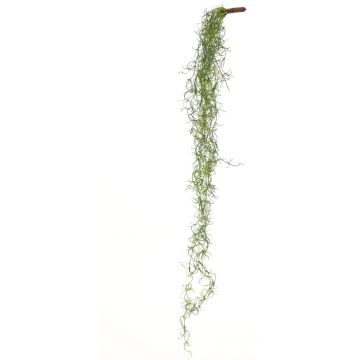 Tillandsia Usneoides künstlich LIVADI auf Steckstab, grün, 115cm