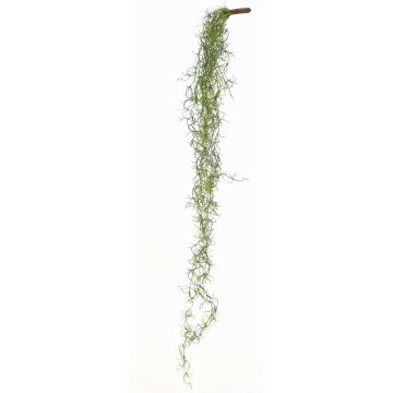 Tillandsia Usneoides künstlich LIVADI auf Steckstab, grün, 115cm