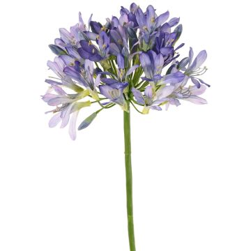 Künstliche Agapanthus Blume KAFENA, blau-lila, 90cm, Ø20cm