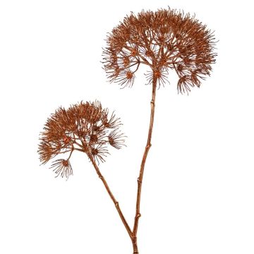 Bärenklau Zweig künstlich OTRIS, kupfer, 95cm, Ø15-20cm