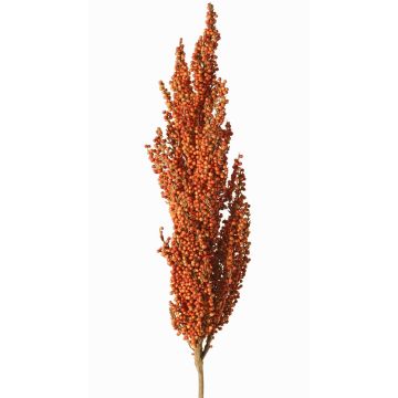 Dekozweig Sorghumhirse WADDY mit Ähren, orange, 80cm