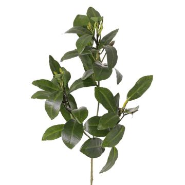 Künstlicher Mangroven Zweig USTERA, Knospen, schwerbrennbar, grün, 60cm