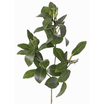 Künstlicher Mangroven Zweig USTERA, Knospen, schwerbrennbar, grün, 60cm
