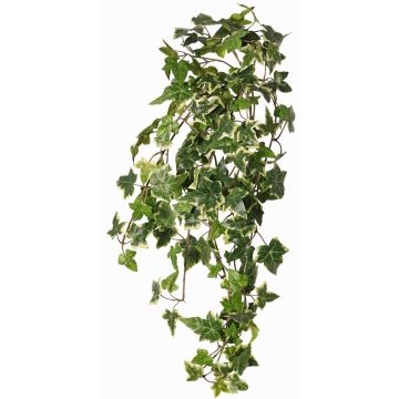 Künstlicher Efeu Hänger ARJANA, Steckstab, schwer entflammbar, grün-weiß, 75cm Künstlicher Efeu Hänger ARJANA, Steckstab, schwer entflammbar, grün-weiß, 75cm
