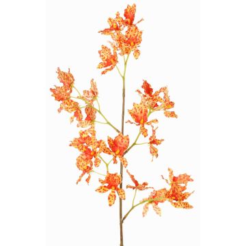 Odontoglossum Orchideenzweig künstlich BELANIA, orange-gelb, 75cm