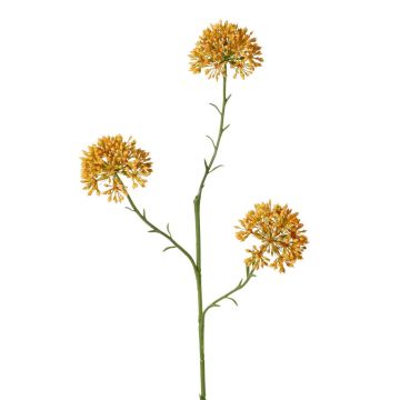 Dekozweig Allium ALIKIO, orange, 65cm, Ø7cm