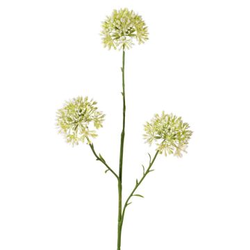 Dekozweig Allium ALIKIO, weiß, 65cm, Ø7cm