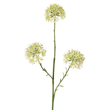Dekozweig Allium ALIKIO, weiß, 65cm, Ø7cm