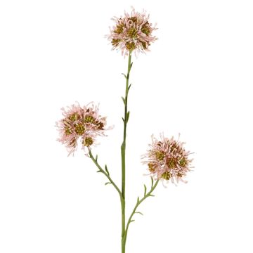Allium Zweig künstlich ZEBU, rosa, 65cm, Ø7cm