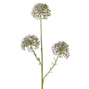 Dekozweig Allium ALIKIO, blau, 65cm, Ø7cm