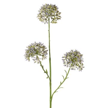 Dekozweig Allium ALIKIO, blau, 65cm, Ø7cm