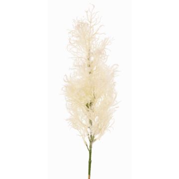 Deko Zweig Perückenstrauch RADERAS mit Blüten, creme, 70cm, Ø10cm