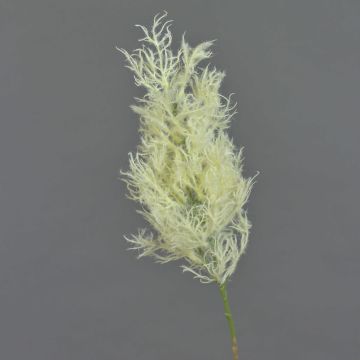 Deko Zweig Perückenstrauch RADERAS mit Blüten, creme, 70cm, Ø10cm Deko Zweig Perückenstrauch RADERAS mit Blüten, creme, 70cm, Ø10cm