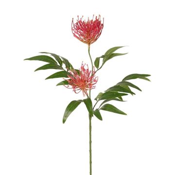 Kunstpflanzen Zweig Silbereiche VULKINTA mit Blüten, pink, 75cm, Ø9-11cm