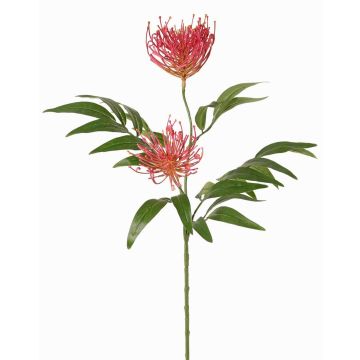 Kunstpflanzen Zweig Silbereiche VULKINTA mit Blüten, pink, 75cm, Ø9-11cm