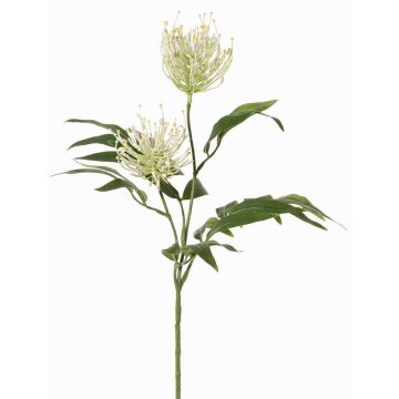 Kunstpflanzen Zweig Silbereiche VULKINTA mit Blüten, weiß-grün, 75cm, Ø9-11cm