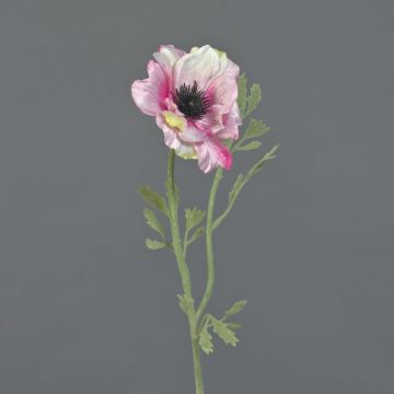 Künstliche Anemone OKAPI, rosa-weiß, 55cm, Ø10cm