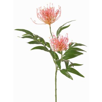 Kunstpflanzen Zweig Silbereiche VULKINTA mit Blüten, rosa, 75cm, Ø9-11cm