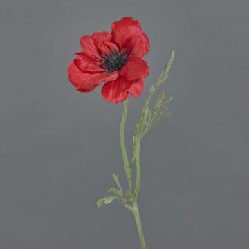 Künstliche Anemone OKAPI, rot, 55cm, Ø10cm