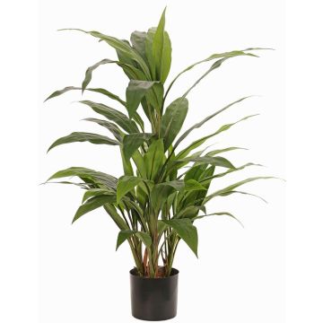 Künstliche Cordyline ORMOS, grün, 80cm