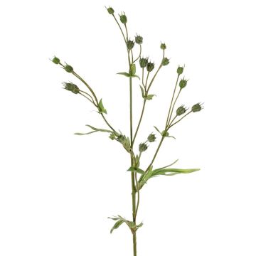 Künstlicher Flachs Zweig KALENO mit Knospen, grün, 70cm