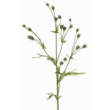 Künstlicher Flachs Zweig KALENO mit Knospen, grün, 70cm
