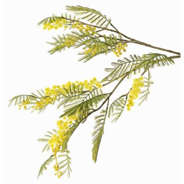 Deko Mimosenzweig BRANAU mit Blüten, gelb, 80cm, Ø0,5cm Deko Mimosenzweig BRANAU mit Blüten, gelb, 80cm, Ø0,5cm