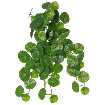 Stephania erecta Kunstpflanze ANOGIA auf Steckstab, grün, 50cm