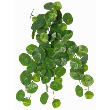 Stephania erecta Kunstpflanze ANOGIA auf Steckstab, grün, 50cm