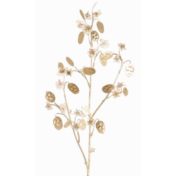 Satin Lunaria Zweig künstlich PINDUS mit Blüten, creme-gold, 85cm Satin Lunaria Zweig künstlich PINDUS mit Blüten, creme-gold, 85cm