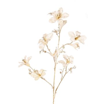 Samt Bauhinia Deko Zweig GAZERA, creme-gold, 115cm