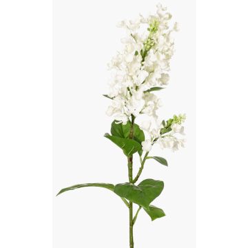 Deko Zweig Flieder ADMIR, weiß, 80cm, Ø6-9cm