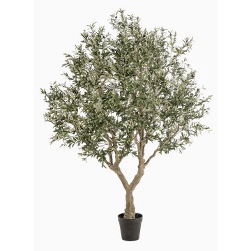 Kunst Olivenbaum ZALIKI, Kunststamm, Früchte, grün, 250cm