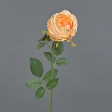 Kunstblume Rose THYRI, pfirsich, 65cm, Ø10cm