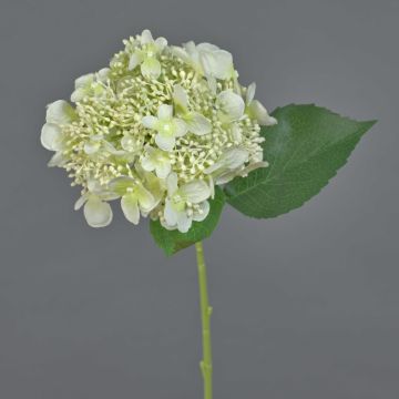 Kunstblume Hortensie CALESA, weiß-grün, 50cm, Ø15cm