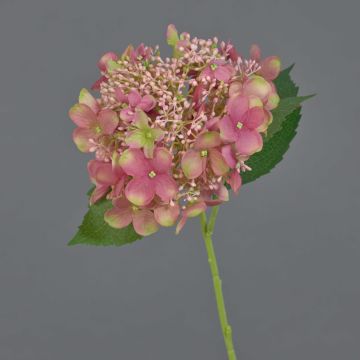 Kunstblume Hortensie CALESA, altrosa-grün, 50cm, Ø15cm