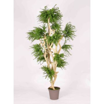 Kunstbaum Abelia DIMYTRO mit Naturstämmen, crossdoor, grün, 185cm - Made in Italy