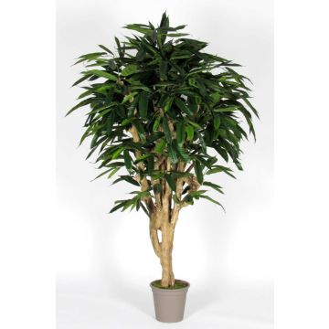 Deko Longifolia RAFIKO, Naturstämme, grün, 250cm - Made in Italy Deko Longifolia RAFIKO, Naturstämme, grün, 250cm - Made in Italy