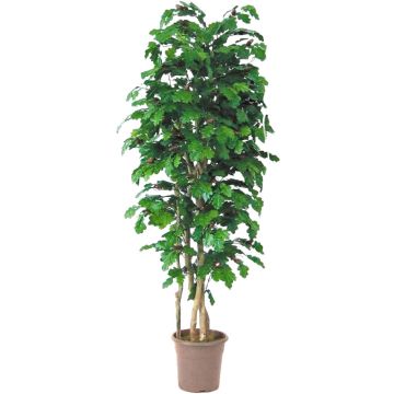 Kunst Eiche MIREEN, Natürliche Stämme, mit Früchten, grün, crossdoor, 150cm - Made in Italy