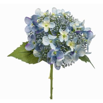 Kunstblume Hortensie CALESA, hellblau, 50cm, Ø15cm Kunstblume Hortensie CALESA, hellblau, 50cm, Ø15cm