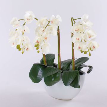 Phalaenopsis Orchidee Kunstblume JASMIN in Keramikschale, weiß, 40cm Phalaenopsis Orchidee Kunstblume JASMIN in Keramikschale, weiß, 40cm