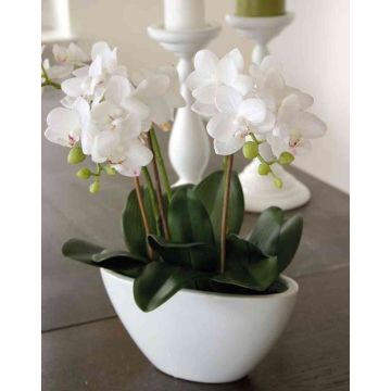 Phalaenopsis Orchidee Kunstblume JASMIN in Keramikschale, weiß, 40cm Phalaenopsis Orchidee Kunstblume JASMIN in Keramikschale, weiß, 40cm