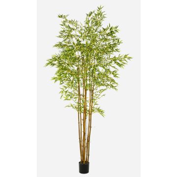 Künstlicher Baum Japanischer Pfeilbambus BAKNOR, Naturstämme, 240cm Künstlicher Baum Japanischer Pfeilbambus BAKNOR, Naturstämme, 240cm